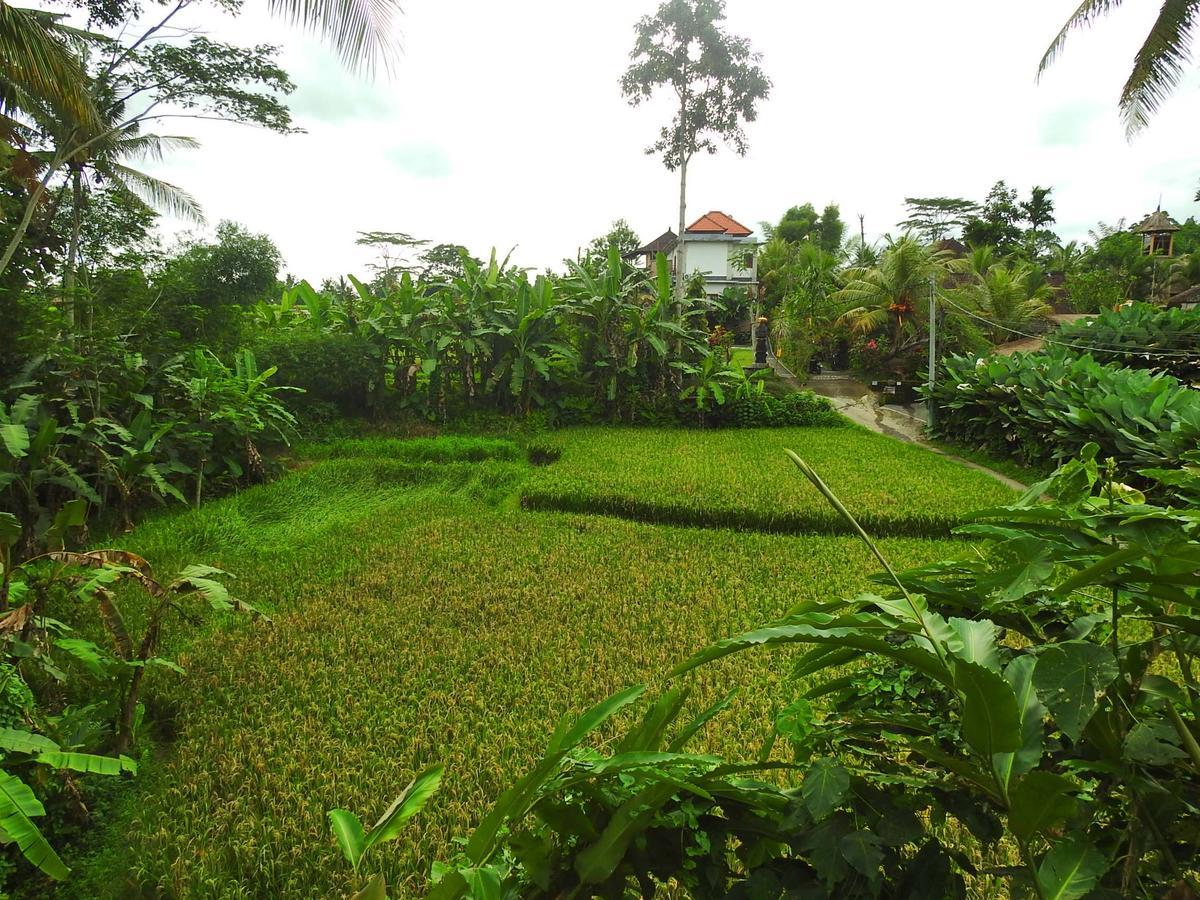 Mandala Hostel Ubud ภายนอก รูปภาพ