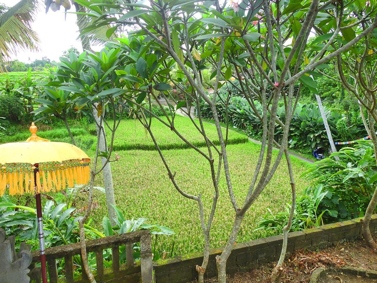 Mandala Hostel Ubud ภายนอก รูปภาพ