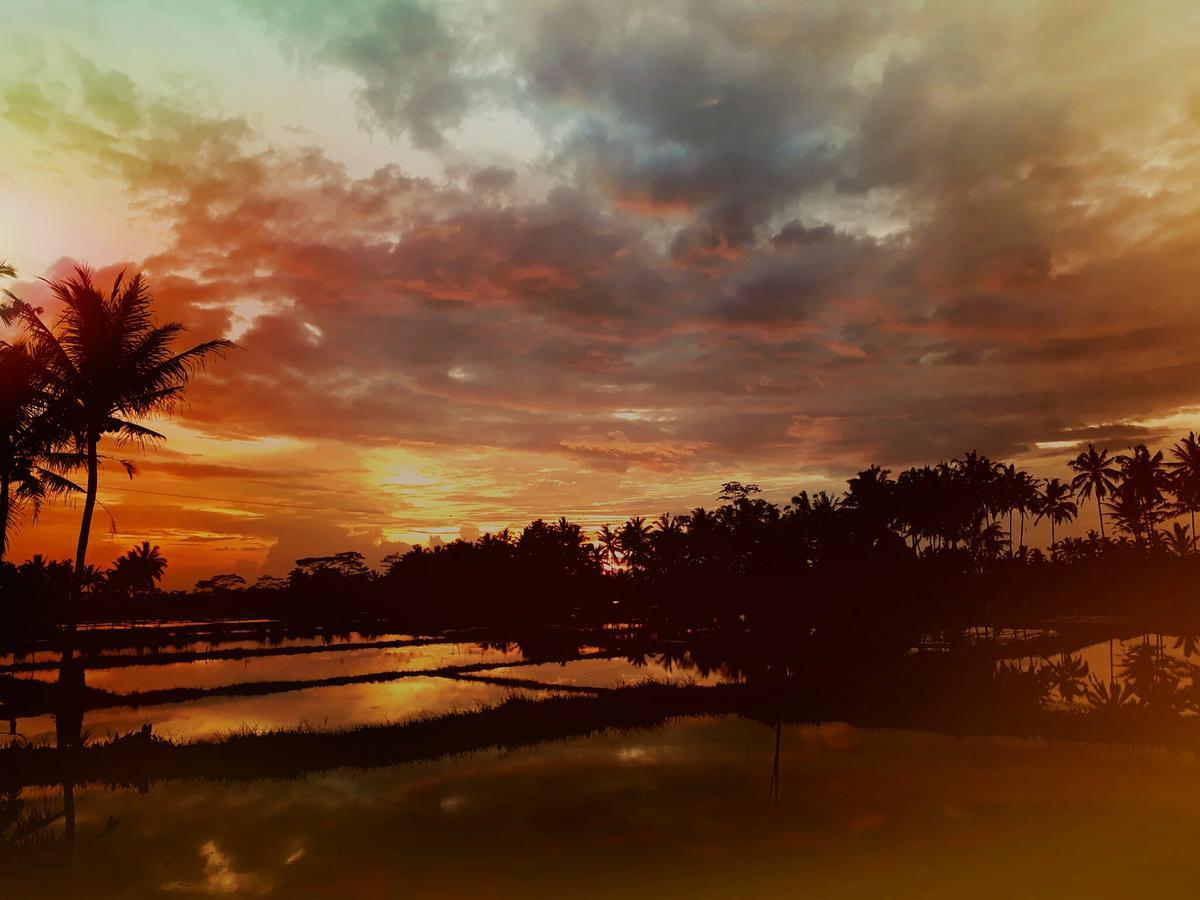 Mandala Hostel Ubud ภายนอก รูปภาพ