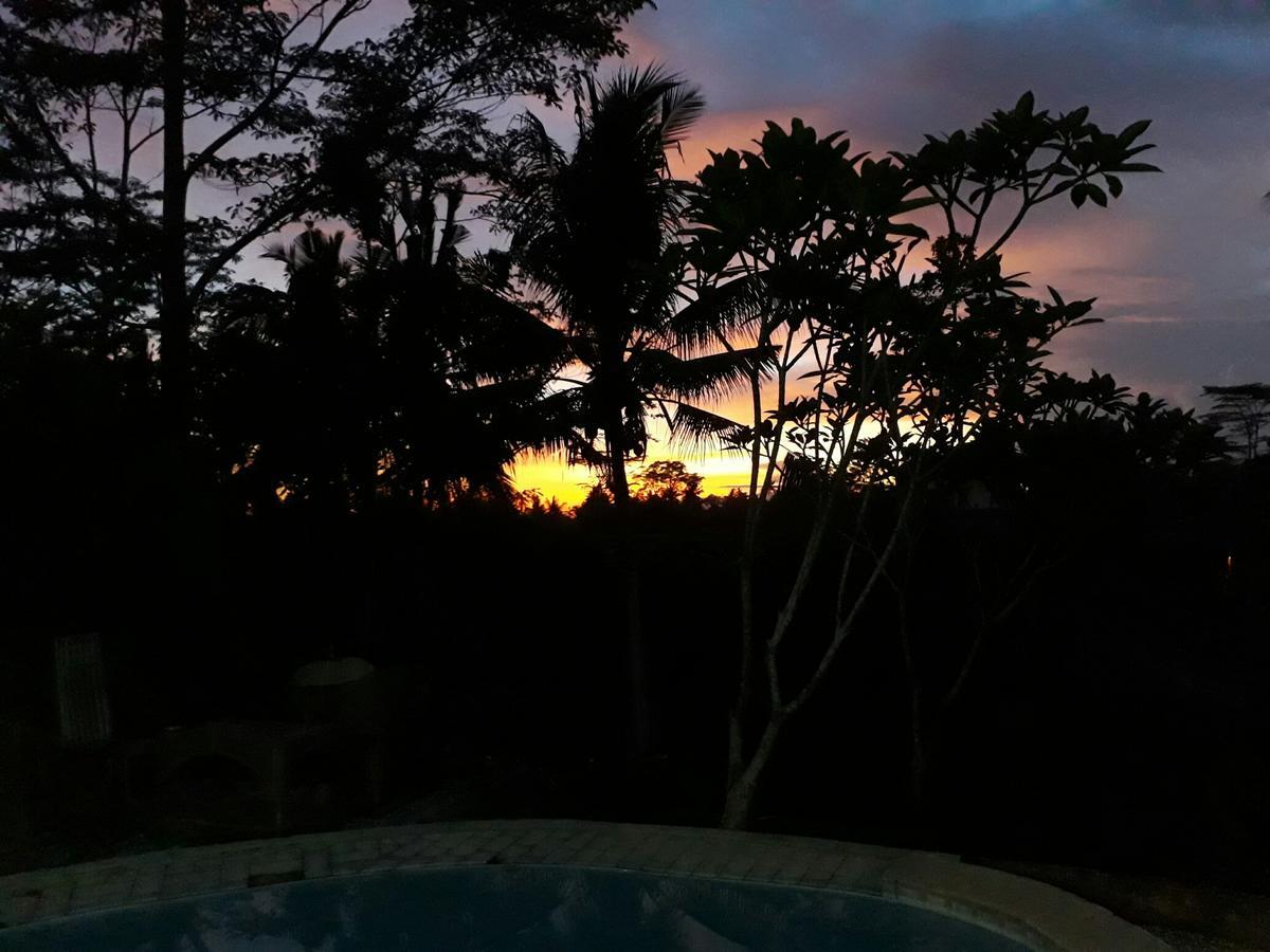 Mandala Hostel Ubud ภายนอก รูปภาพ