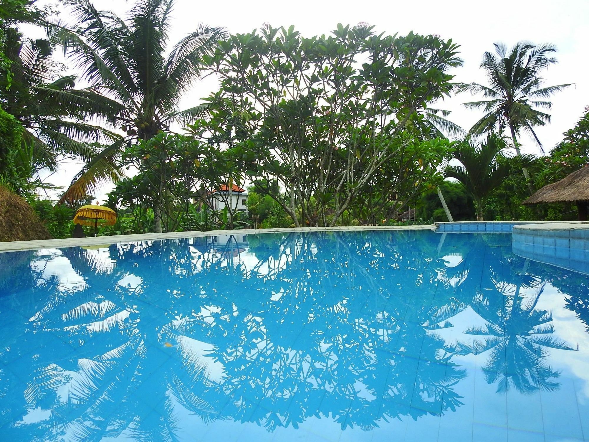 Mandala Hostel Ubud ภายนอก รูปภาพ