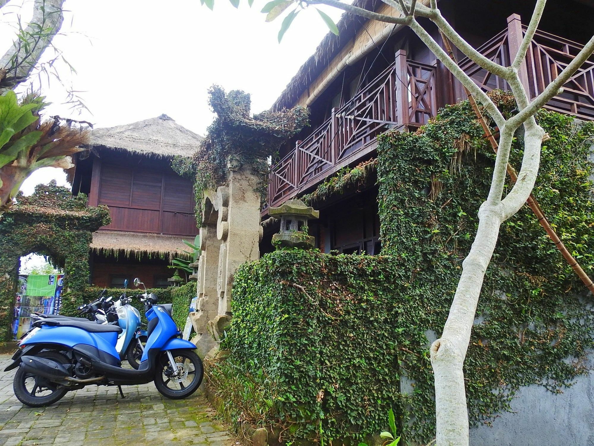 Mandala Hostel Ubud ภายนอก รูปภาพ
